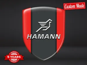 Hamann Fahrzeugdesign Pro Max Modern Stilvoll Robust